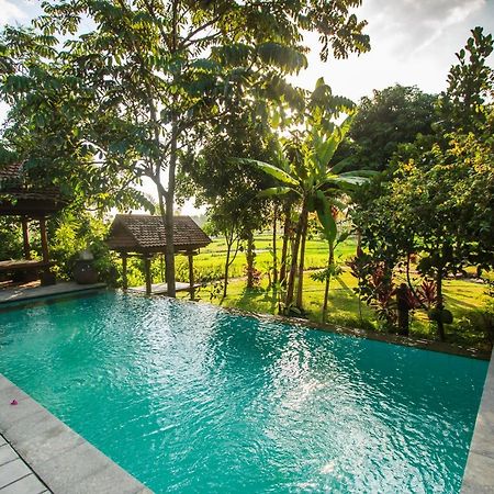 Griya KCB Villa Ubud Mas  Dış mekan fotoğraf