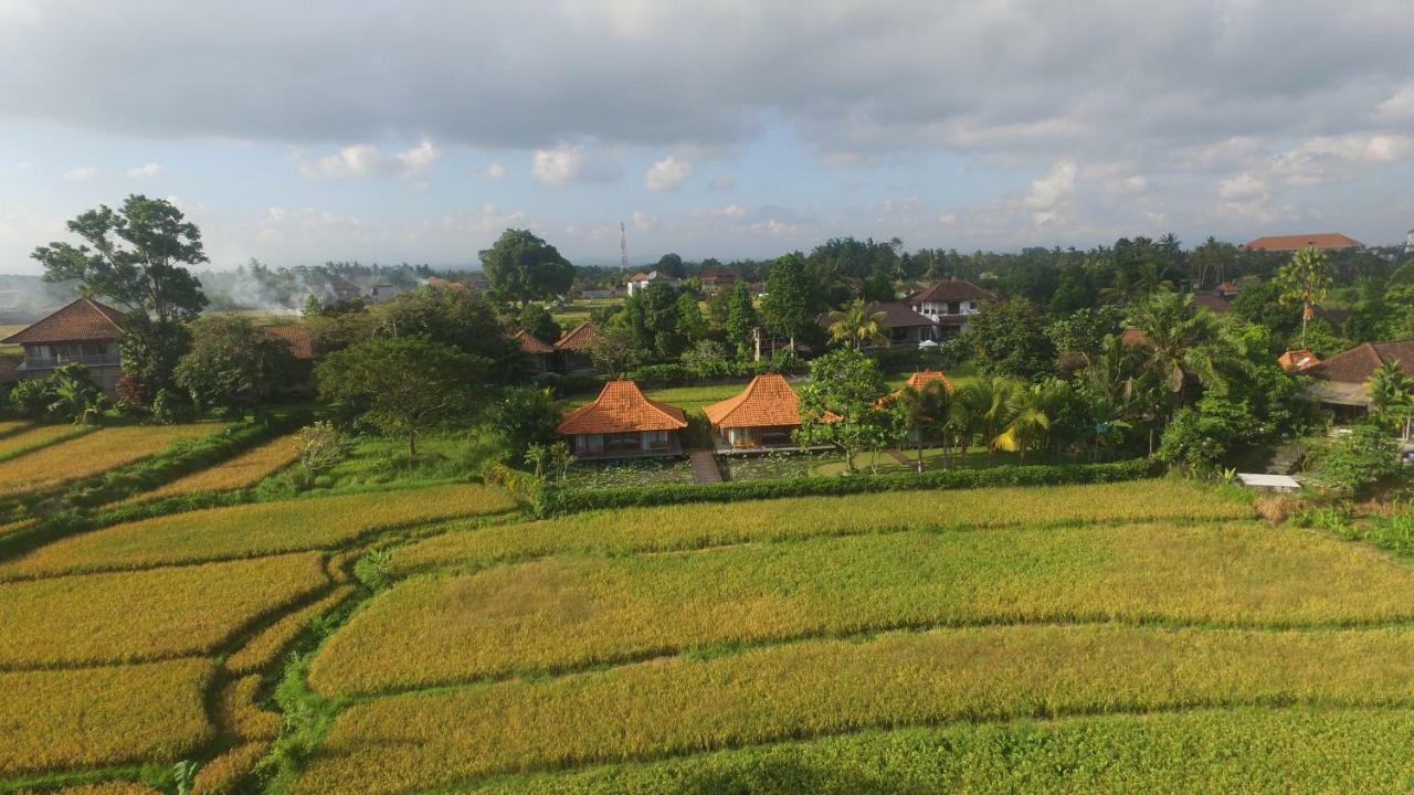 Griya KCB Villa Ubud Mas  Dış mekan fotoğraf