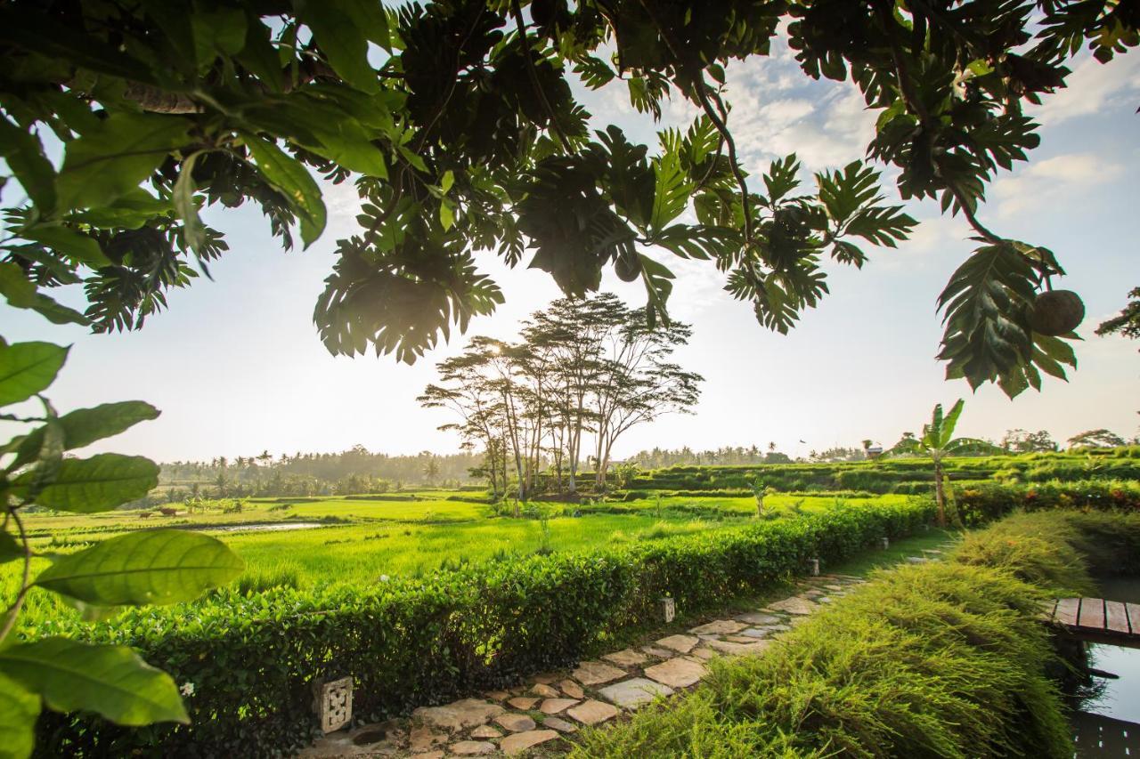 Griya KCB Villa Ubud Mas  Dış mekan fotoğraf