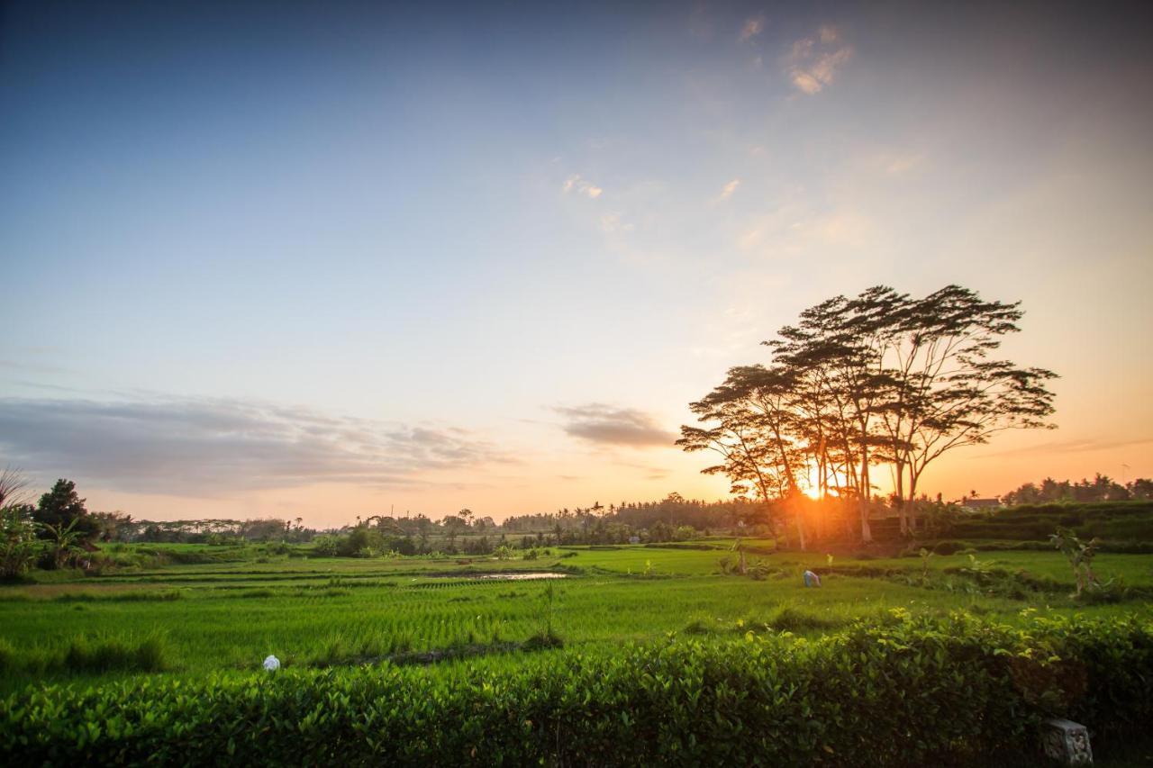 Griya KCB Villa Ubud Mas  Dış mekan fotoğraf