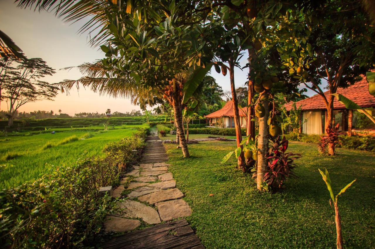 Griya KCB Villa Ubud Mas  Dış mekan fotoğraf