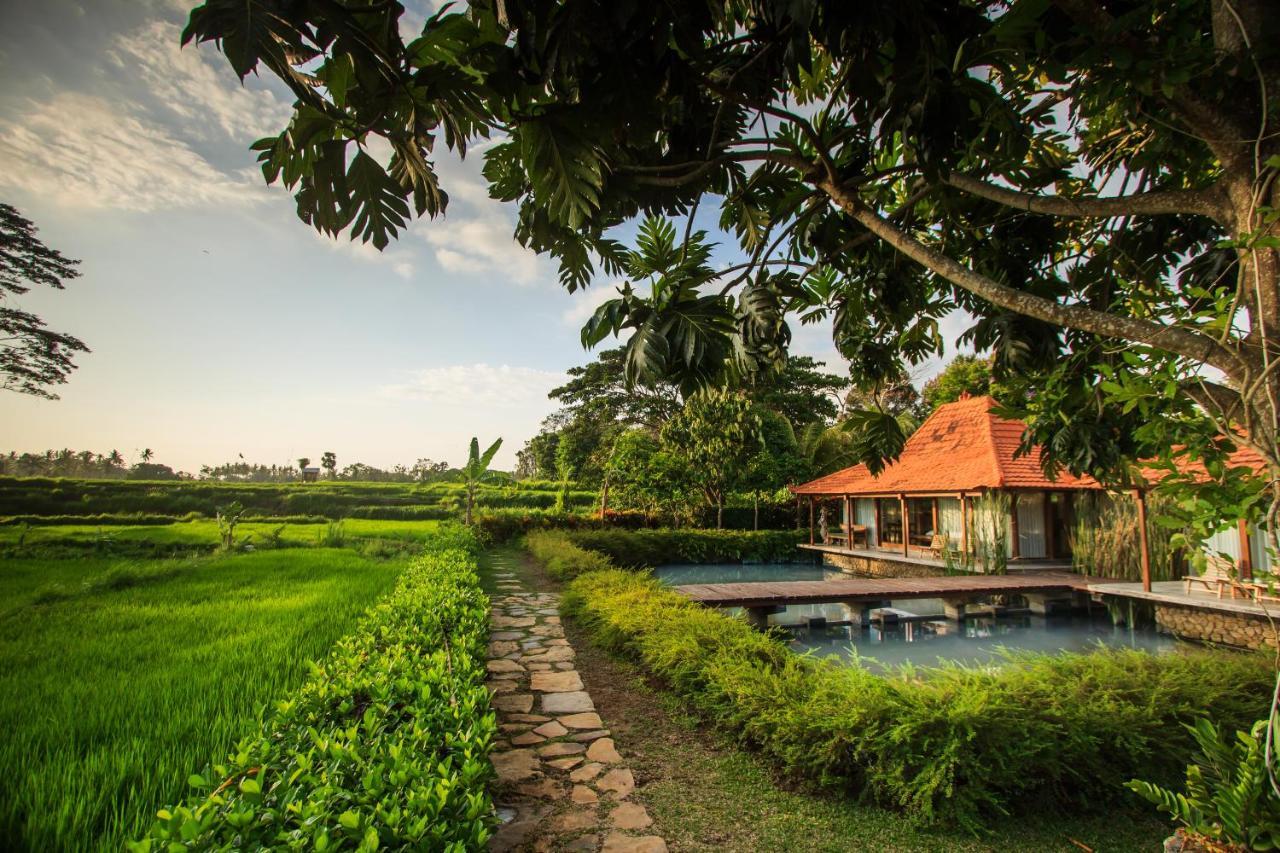 Griya KCB Villa Ubud Mas  Dış mekan fotoğraf