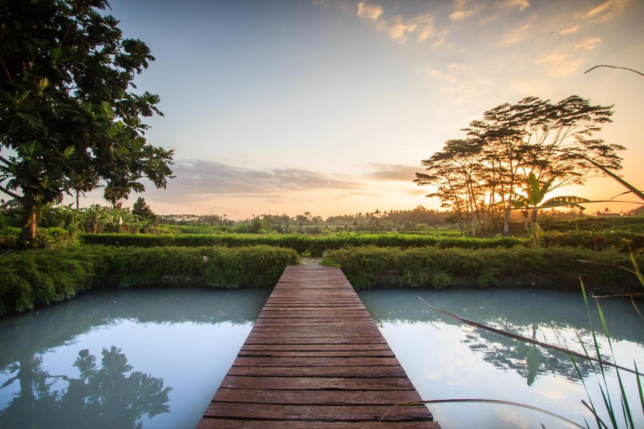 Griya KCB Villa Ubud Mas  Dış mekan fotoğraf