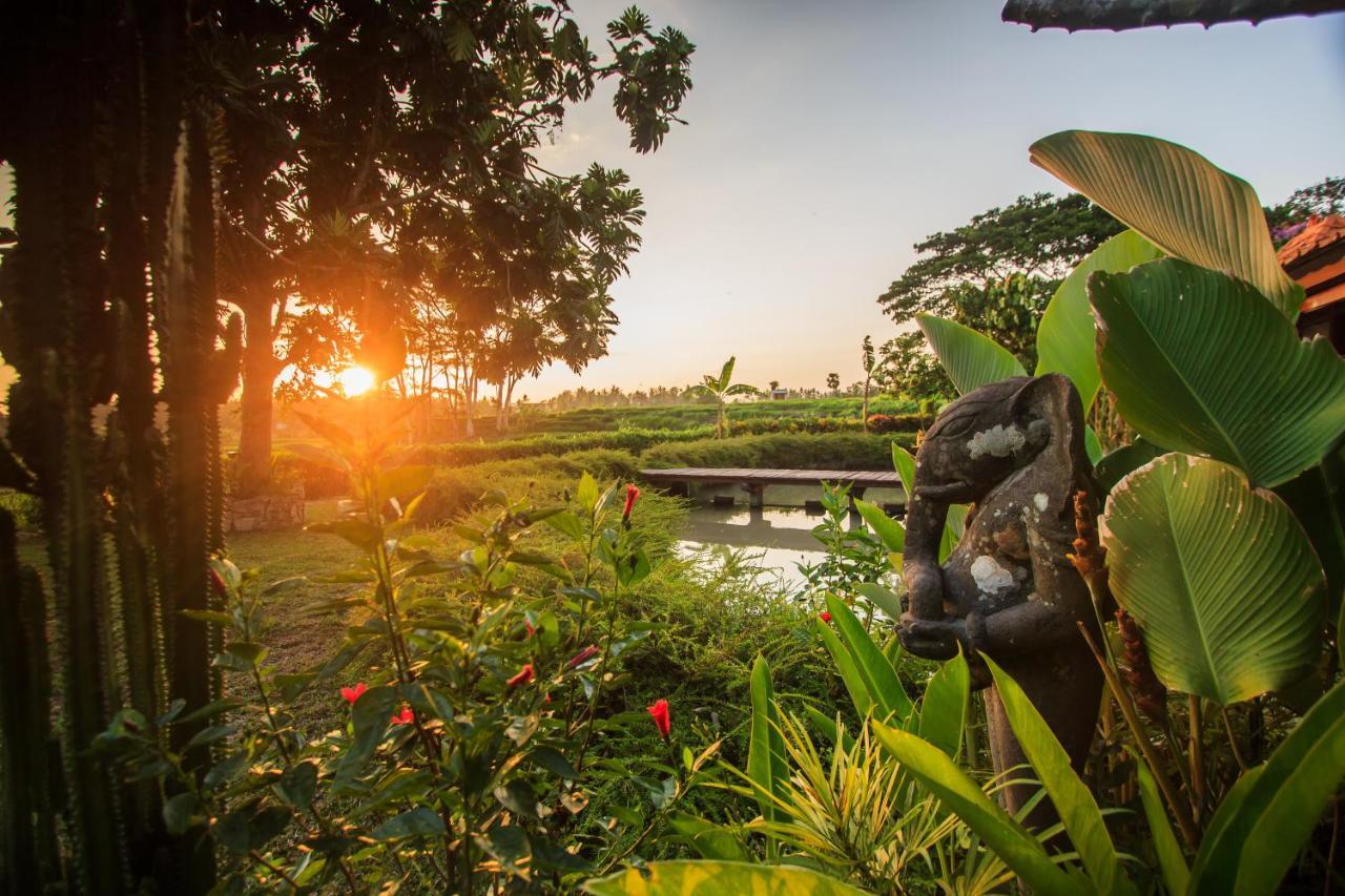 Griya KCB Villa Ubud Mas  Dış mekan fotoğraf