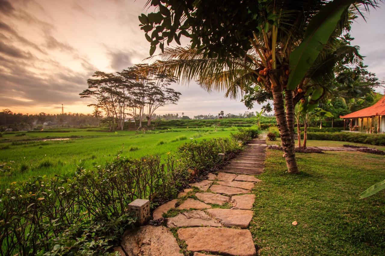 Griya KCB Villa Ubud Mas  Dış mekan fotoğraf