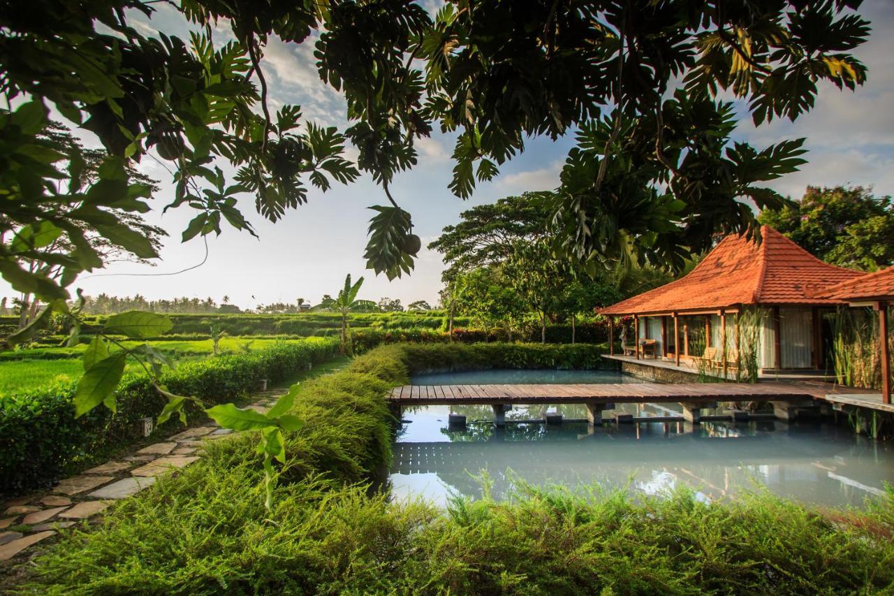 Griya KCB Villa Ubud Mas  Dış mekan fotoğraf